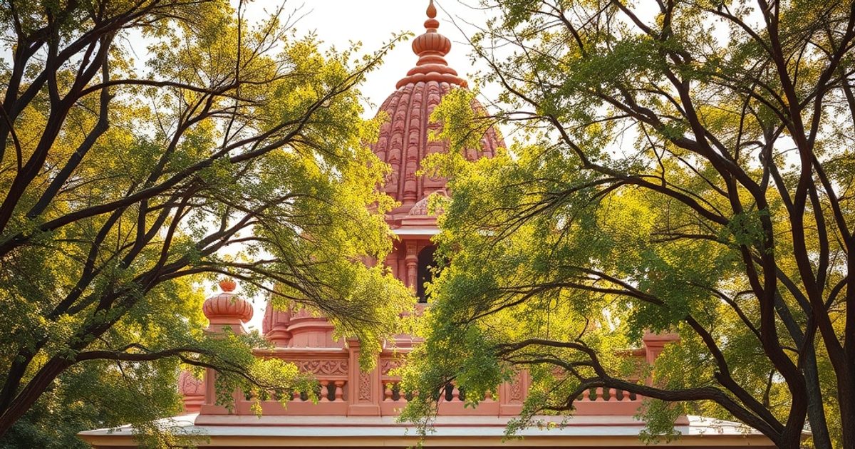 Best Indian Temples & Mandirs in Plano (2026)