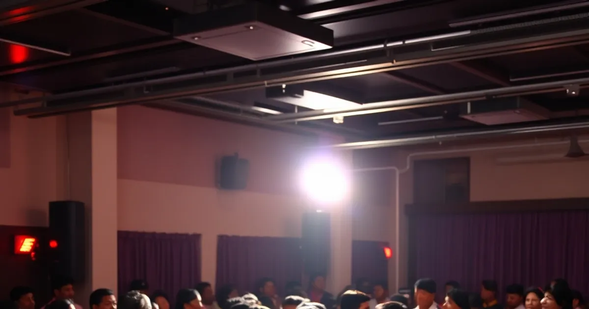 Desi Arts & Entertainment in Toronto
