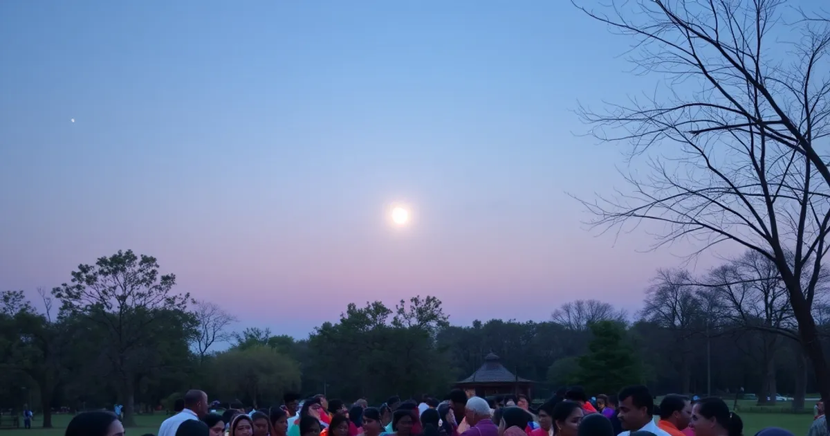 Desi Concerts & Cultural Shows Coming to Mount Prospect