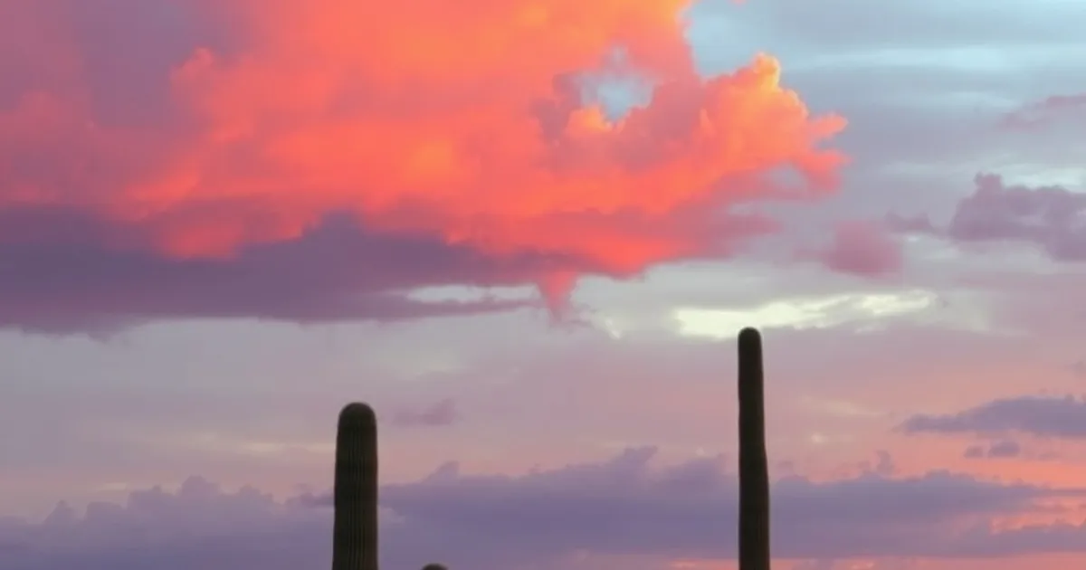 Desi Things to Do in Tucson (July 2026)