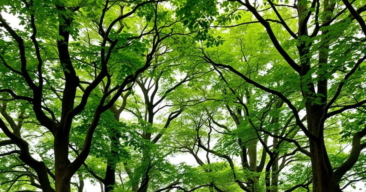 President Murmu and PM Modi Pay Tribute to Tribal Groves in Odisha’s Mayurbhanj