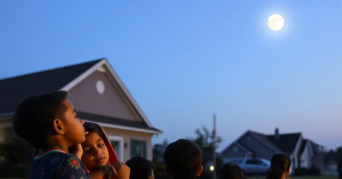 Weekend Activities for Desi Kids in Franklin